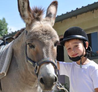 Champ'ânes - avec l'âne César - Outines