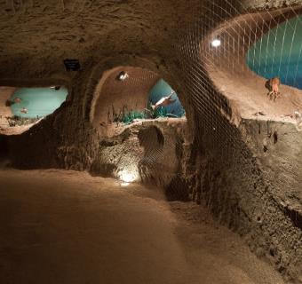 La Cave aux Coquillages - Fleury-la-Rivière